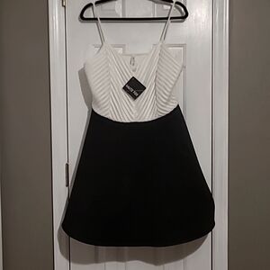 HAUTE FOX Black & White Skater Dress Size 2X